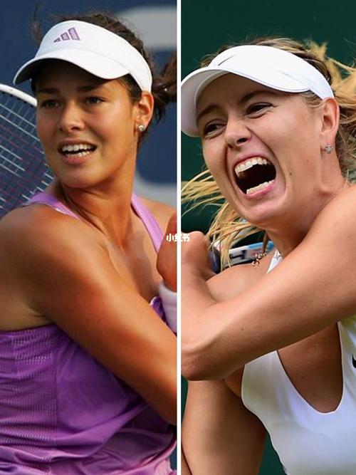 凯恩能够在 凯恩能够在