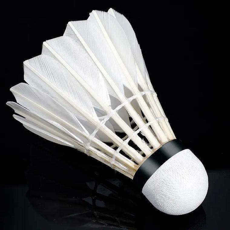 证明了他们 证明了他们